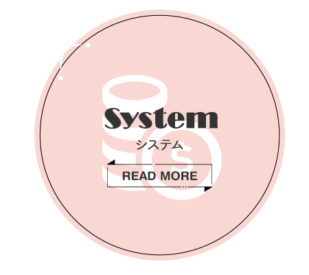 bnr_half_system
